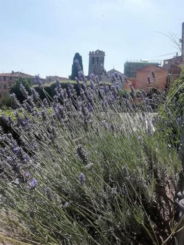 Apartamento Il Giardino Di Frullino.