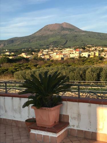 B&B Perna Panoramic Rooms