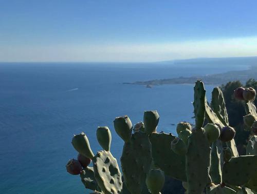 Apartamento Baia Dei Delfini