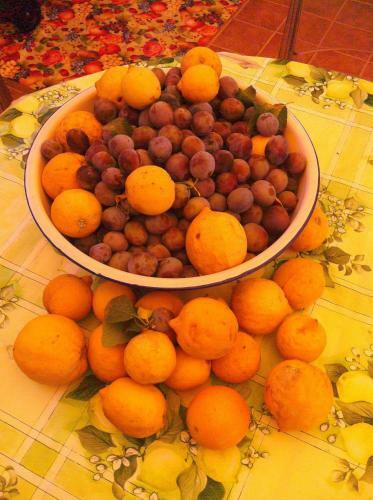 Apartamento Da Cristina Con Amore