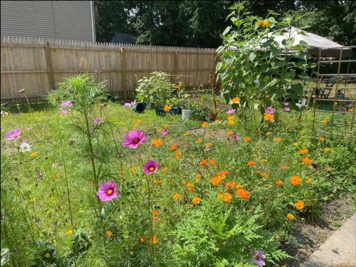 Apartamento Bright 1 Bedroom