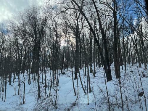 2 Bedroom Cozy Getaway W On-site Parking