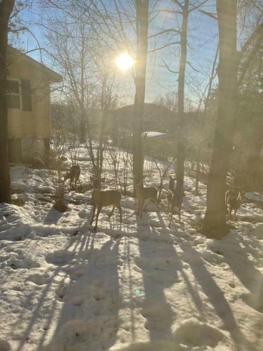 2 Bedroom Cozy Getaway W On-site Parking