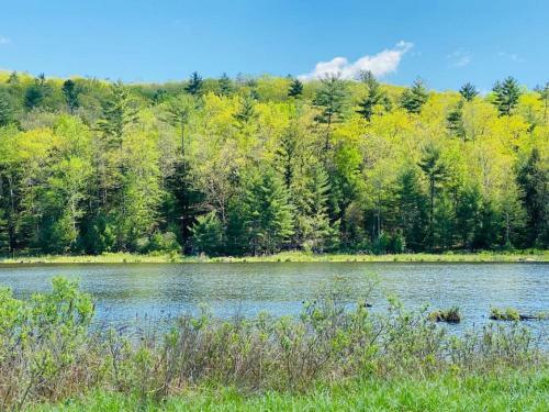 Modern, Spacious Lakeside Retreat In Narrowsburg