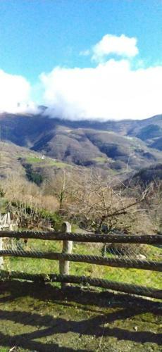 Alojamiento Kokomodreams