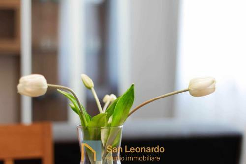 Apartamento Appartamento A Due Passi Dalla Restera E Dal Centro Di Treviso