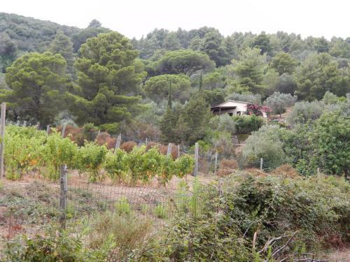 Apartamento Agriturismo Galenzana