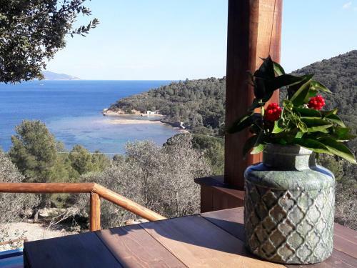 Apartamento Agriturismo Galenzana