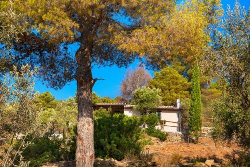 Apartamento Agriturismo Galenzana