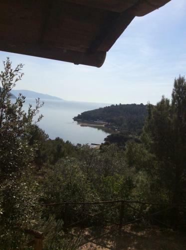 Apartamento Agriturismo Galenzana