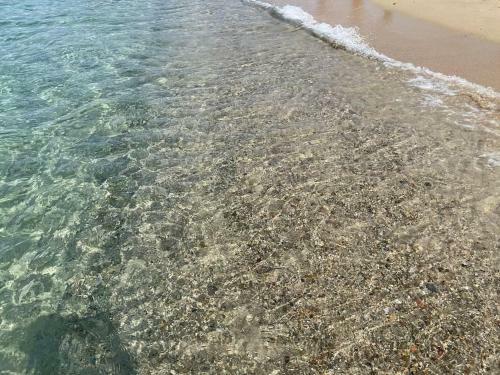 Villa Mimosa 300 Mt. Dal Mare 2 P.l.+2 Aggiuntivi