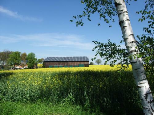 Apartamento Ferienpark Sierksdorf App 323 - Strandlage