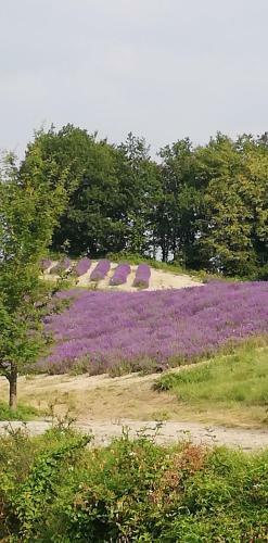 Apartamento Il Nido Nelle Langhe