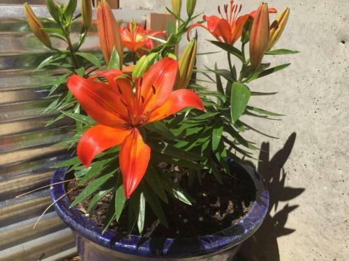 Apartamento Cozy Spa Sanctuary W/ Soaking Tub