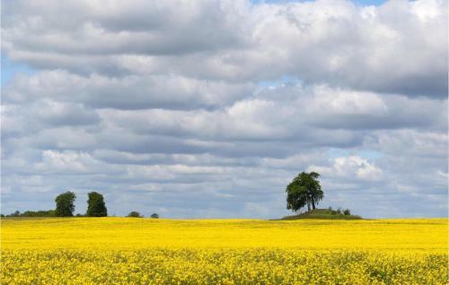 Stunning Home In S�sel With 2 Bedrooms