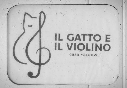 Il Gatto E Il Violino Appartamenti E Casa Per Vacanze