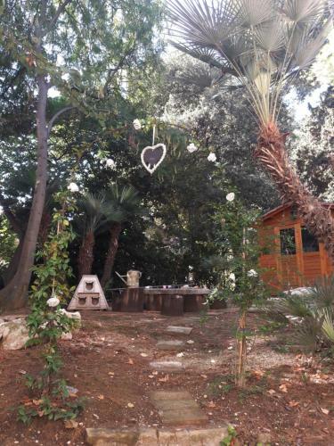 Il Gatto E Il Violino Appartamenti E Casa Per Vacanze