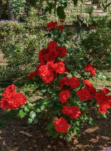 Apartamento La Casa Delle Rose