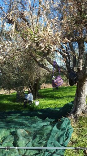 Bed & Breakfast Agriturismo La Conca Fonte S.croce