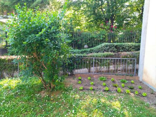 Apartamento Monolocale Con Giardino