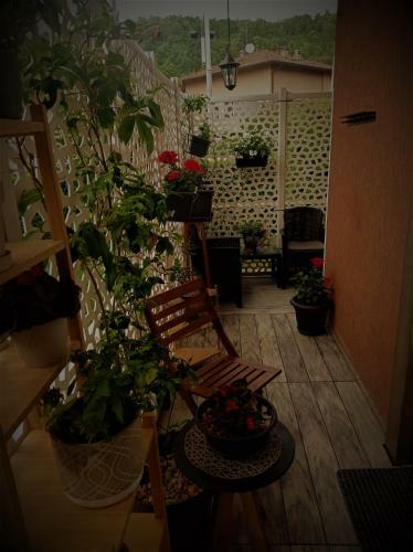 Hostal B&B Maharaja Adults Only