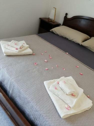 Casa Vacanze Monti Canu