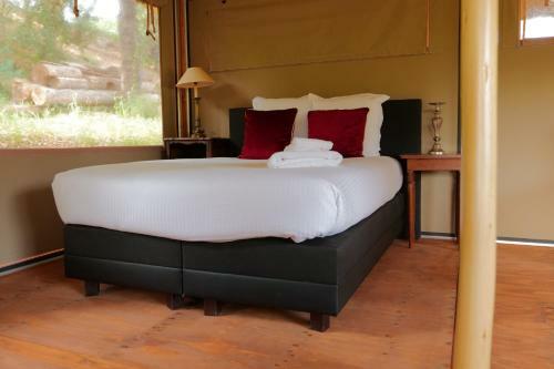 Les Lodges Du Domaine De La Cascade D'argens