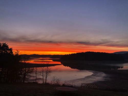 Douglas Lake Life Rentals 2