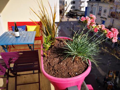 Apartamento Lovely Appart