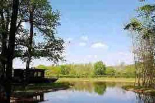Charmante Petite Maison Solognote En Pleine Nature
