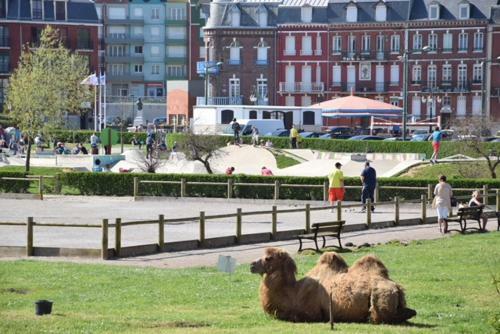 Apartamento Appartement L Hirondelle Mers, Prairie De Mers