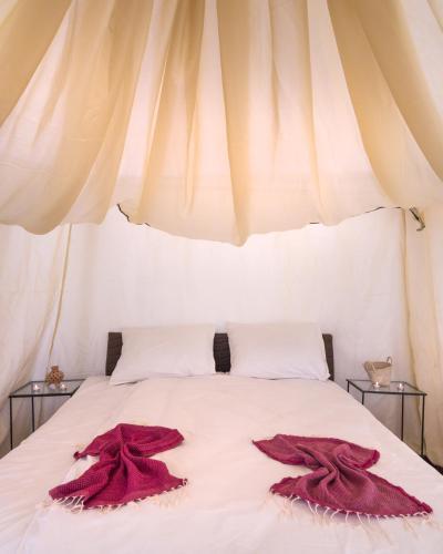 Camp Mars