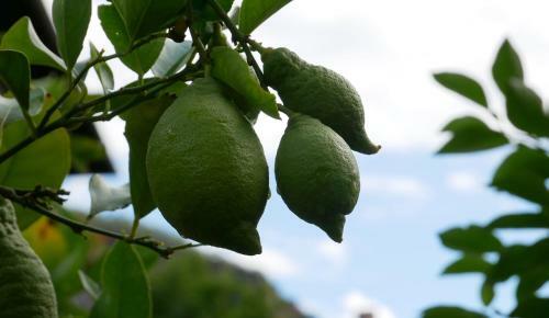 Agroturismo Das Landhaus
