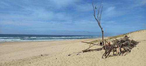 Very Nice Wood Frame House With Garden