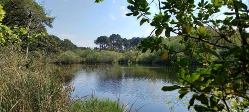 Very Nice Wood Frame House With Garden