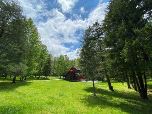 Hostal Shadow Mountain Escape Cabin Rentals