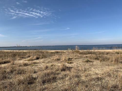 Manor And Mutts #2 Cottage