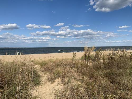 Manor And Mutts #2 Cottage