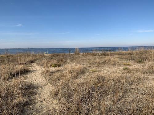 Manor And Mutts #2 Cottage