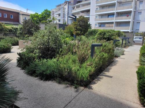 Apartamento L'emergence Yourhosthelper