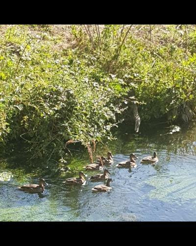 Agroturismo Les G�tes De Ninon