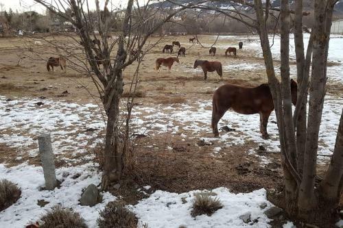 Casa Proven�al Cerdanya - Puigcerd�