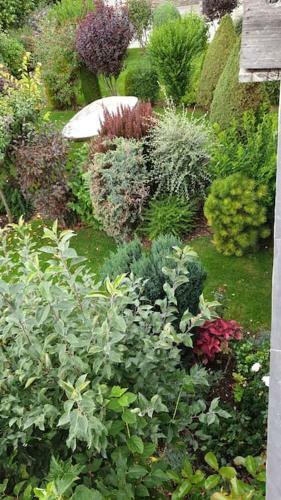 Casa Proven�al Cerdanya - Puigcerd�