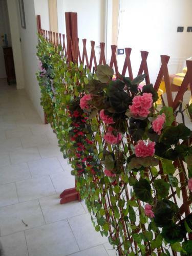 Hostal Affittacamere Graziella