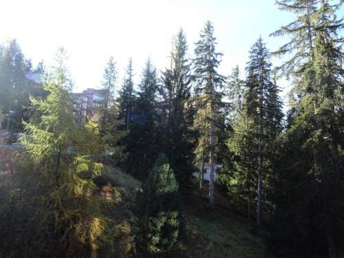 Apartamento R�sidence Vogel - 2 Pi�ces Pour 5 Personnes 61
