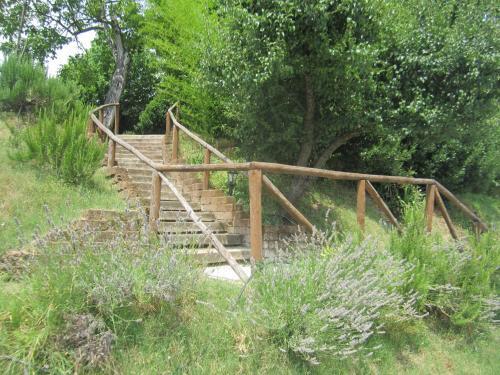 Agroturismo Le Spighe Agriturismo