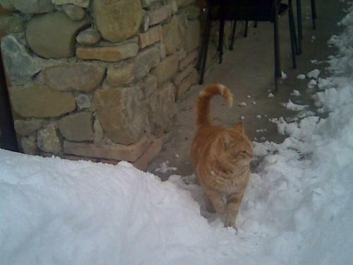 Agroturismo Le Spighe Agriturismo