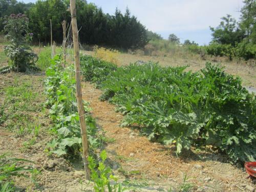 Agroturismo Le Spighe Agriturismo