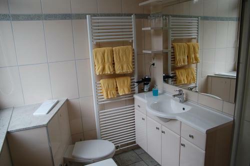 Hotel Steinerne Renne