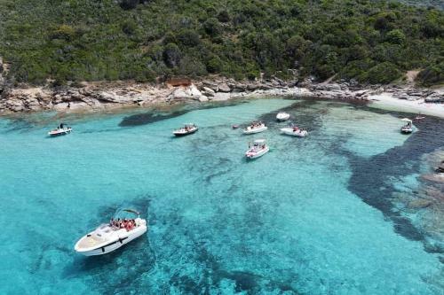 Apartamento T3 Cap Corse Vue Mer Proche Saint Florent